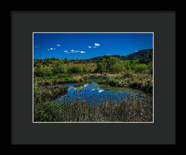 Refuge in the wild - Framed Print