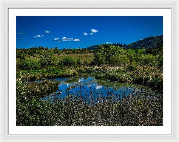 Refuge in the wild - Framed Print