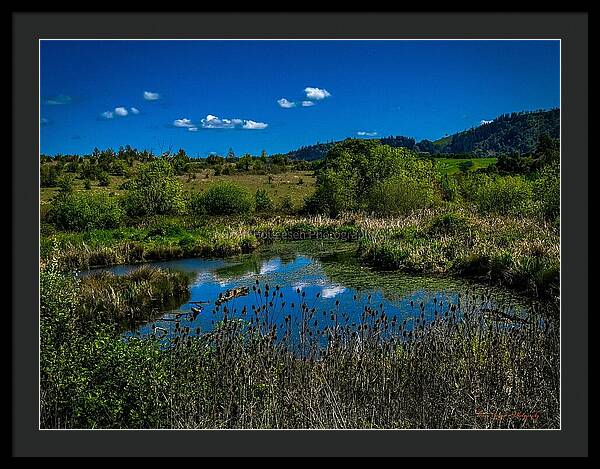 Refuge in the wild - Framed Print