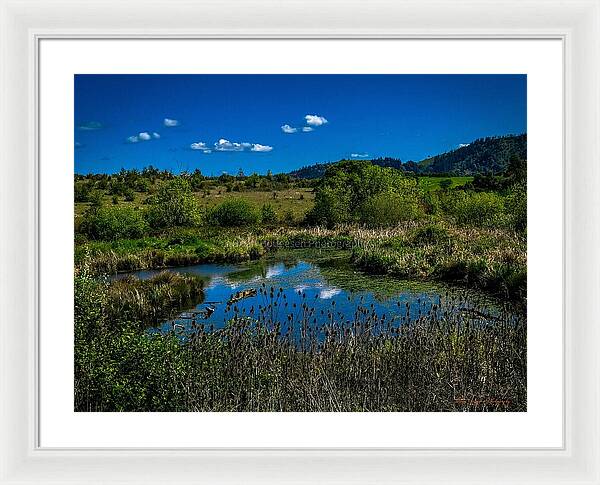 Refuge in the wild - Framed Print