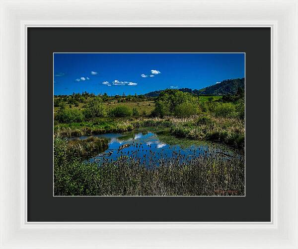 Refuge in the wild - Framed Print