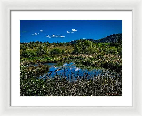 Refuge in the wild - Framed Print