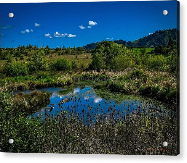 Refuge in the wild - Acrylic Print