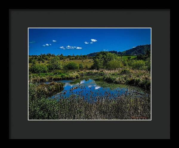Refuge in the wild - Framed Print