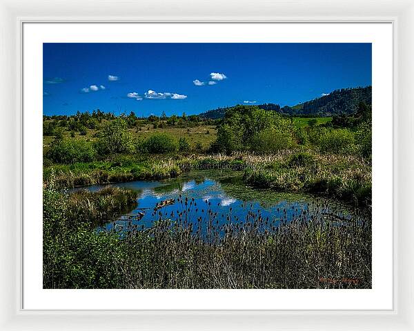 Refuge in the wild - Framed Print
