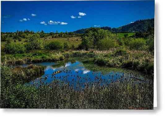 Refuge in the wild - Greeting Card