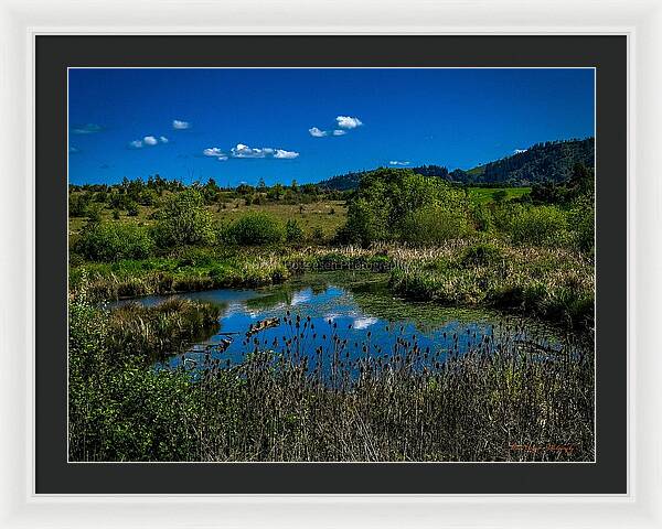 Refuge in the wild - Framed Print