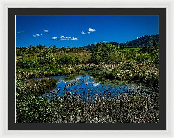 Refuge in the wild - Framed Print