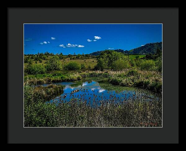 Refuge in the wild - Framed Print