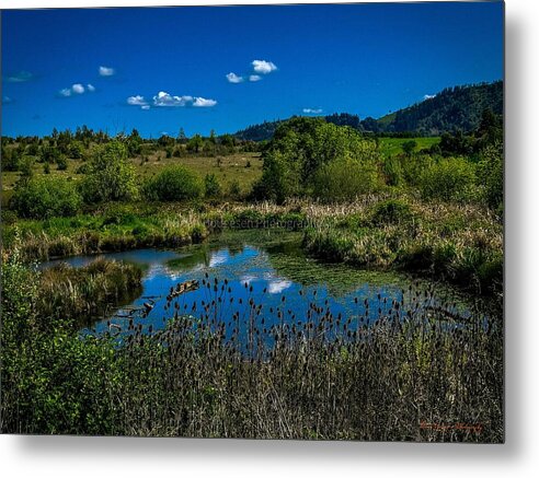 Refuge in the wild - Metal Print