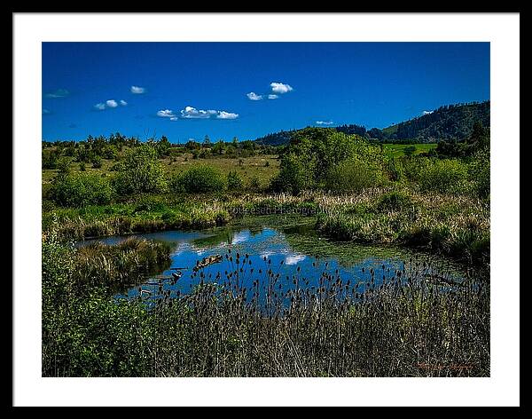 Refuge in the wild - Framed Print
