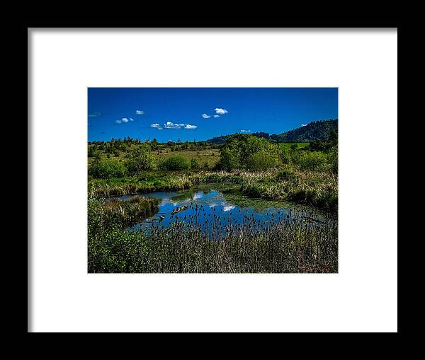 Refuge in the wild - Framed Print