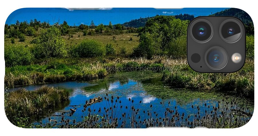 Refuge in the wild - Phone Case