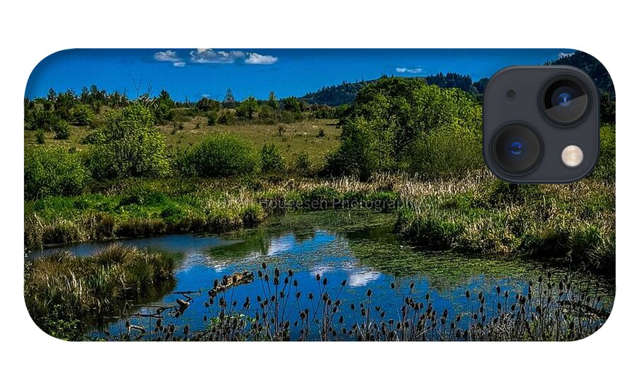 Refuge in the wild - Phone Case