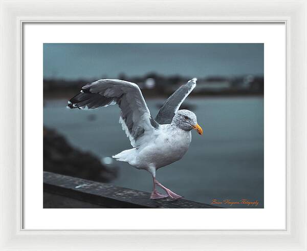 Seagull on a Seaside Rail - Framed Print