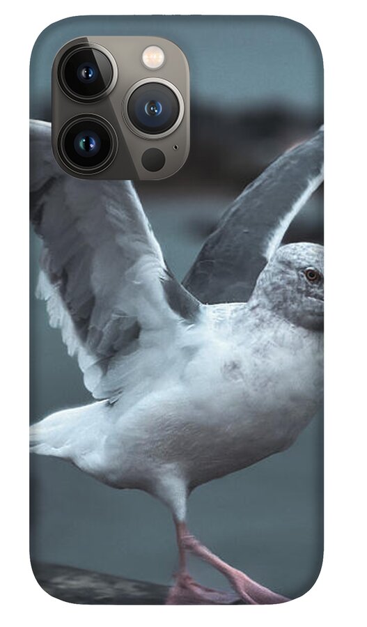 Seagull on a Seaside Rail - Phone Case