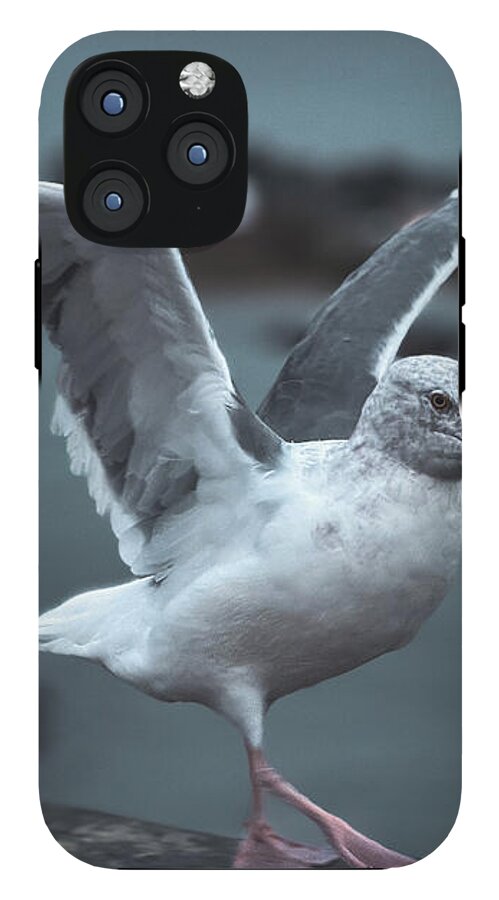 Seagull on a Seaside Rail - Phone Case