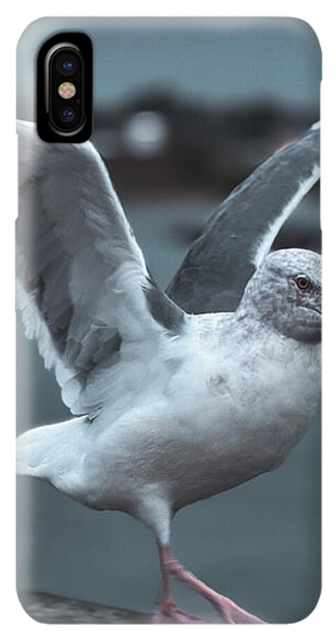 Seagull on a Seaside Rail - Phone Case