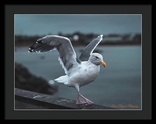 Seagull on a Seaside Rail - Framed Print