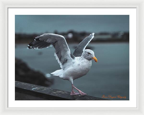 Seagull on a Seaside Rail - Framed Print