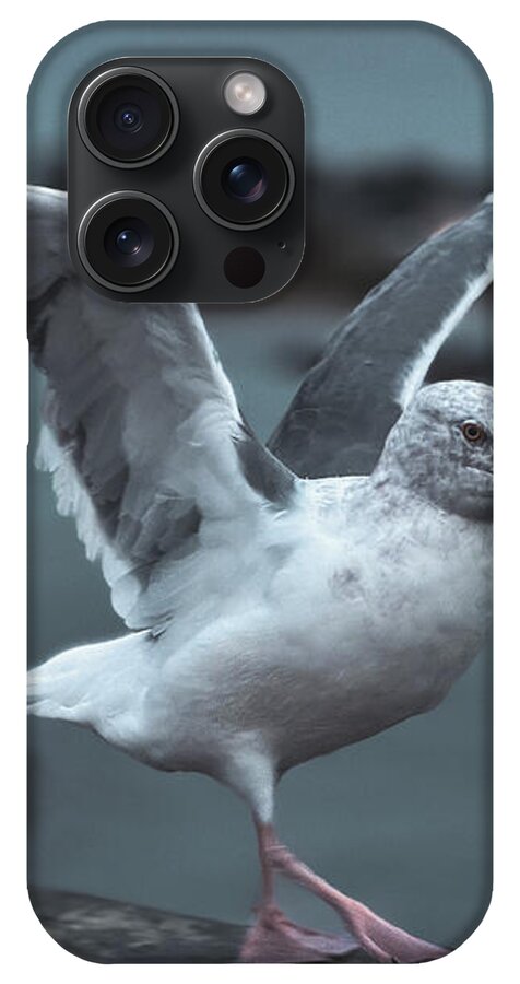 Seagull on a Seaside Rail - Phone Case