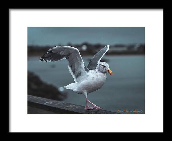 Seagull on a Seaside Rail - Framed Print
