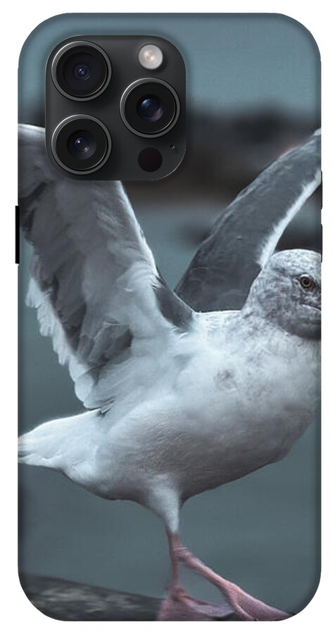 Seagull on a Seaside Rail - Phone Case