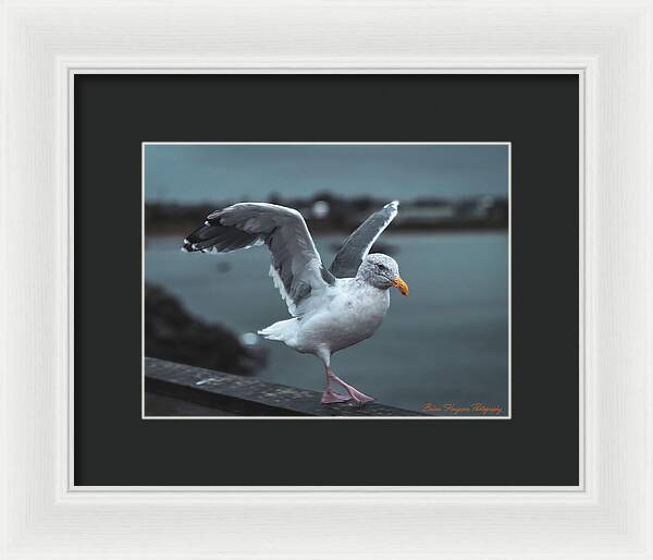 Seagull on a Seaside Rail - Framed Print