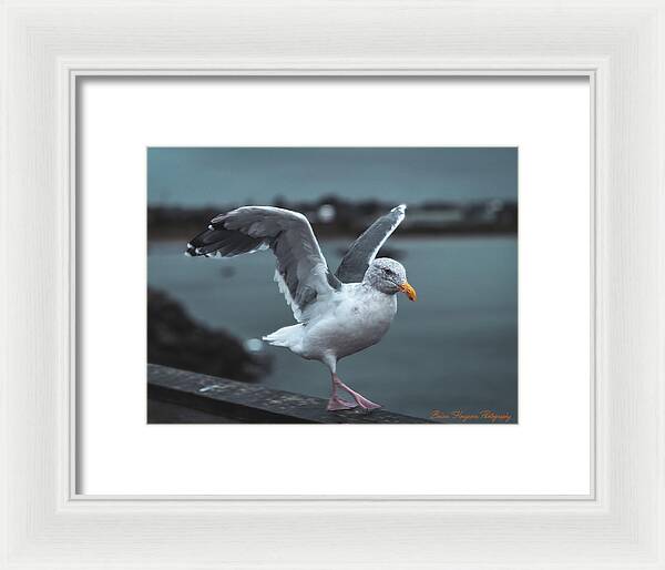 Seagull on a Seaside Rail - Framed Print