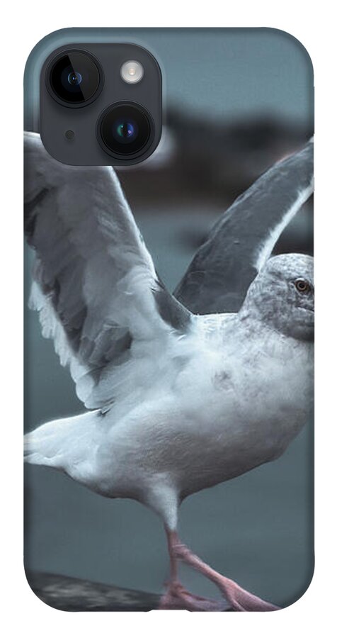 Seagull on a Seaside Rail - Phone Case