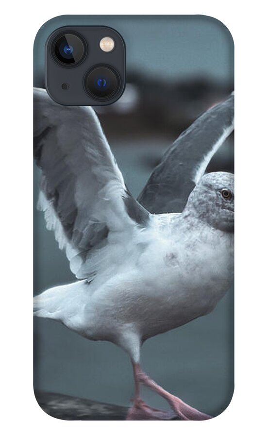 Seagull on a Seaside Rail - Phone Case