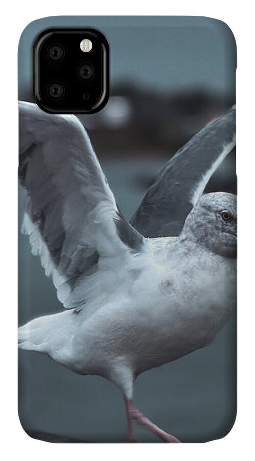 Seagull on a Seaside Rail - Phone Case