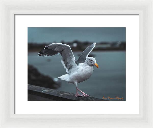Seagull on a Seaside Rail - Framed Print