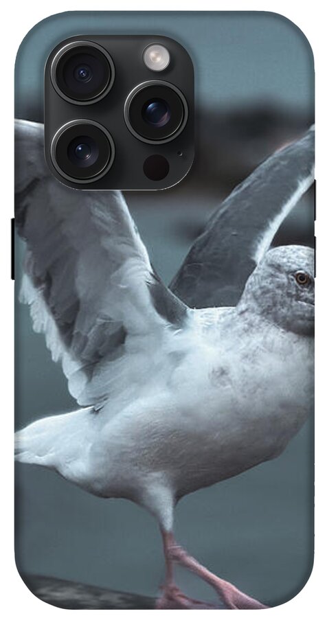 Seagull on a Seaside Rail - Phone Case
