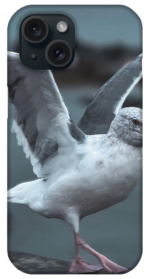 Seagull on a Seaside Rail - Phone Case