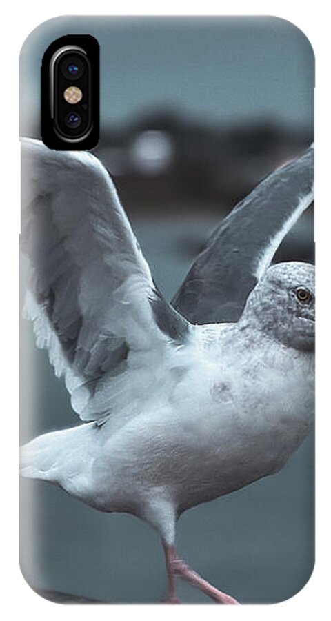 Seagull on a Seaside Rail - Phone Case