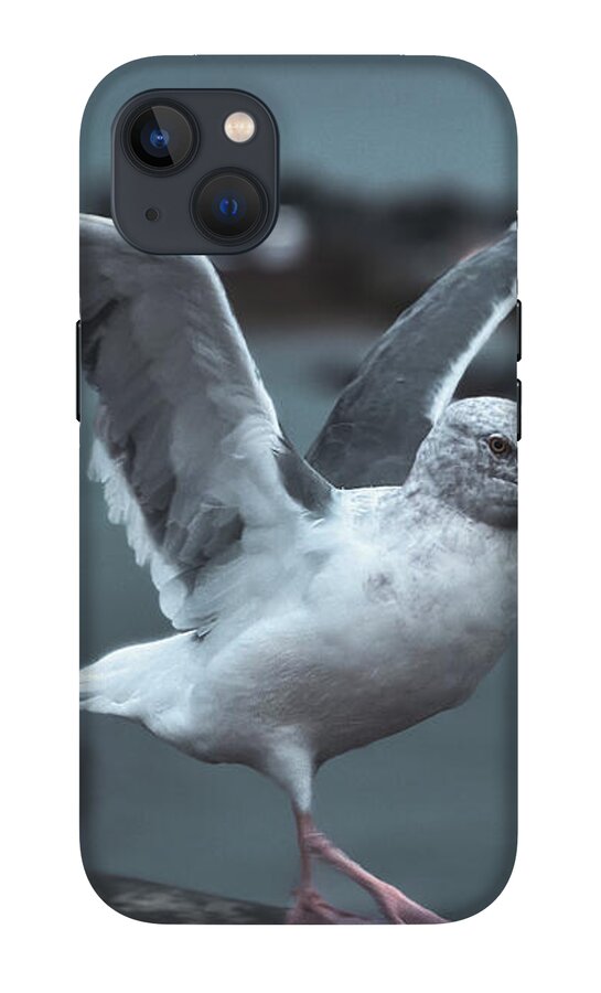 Seagull on a Seaside Rail - Phone Case
