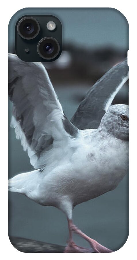 Seagull on a Seaside Rail - Phone Case
