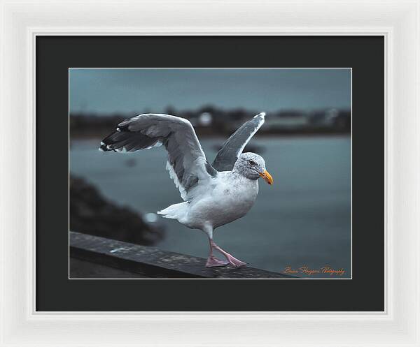 Seagull on a Seaside Rail - Framed Print