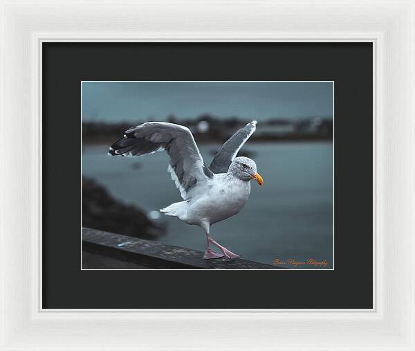 Seagull on a Seaside Rail - Framed Print