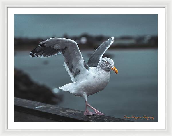 Seagull on a Seaside Rail - Framed Print