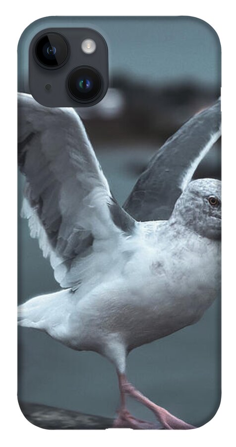 Seagull on a Seaside Rail - Phone Case