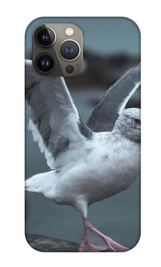 Seagull on a Seaside Rail - Phone Case
