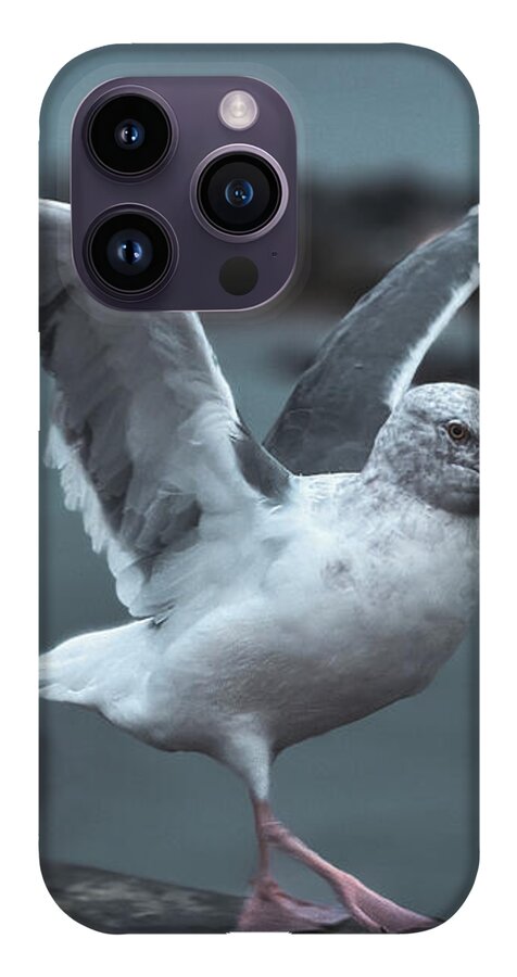 Seagull on a Seaside Rail - Phone Case