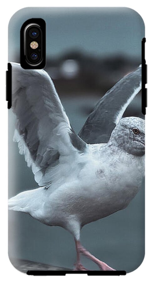 Seagull on a Seaside Rail - Phone Case