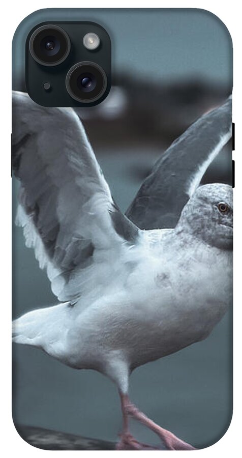 Seagull on a Seaside Rail - Phone Case