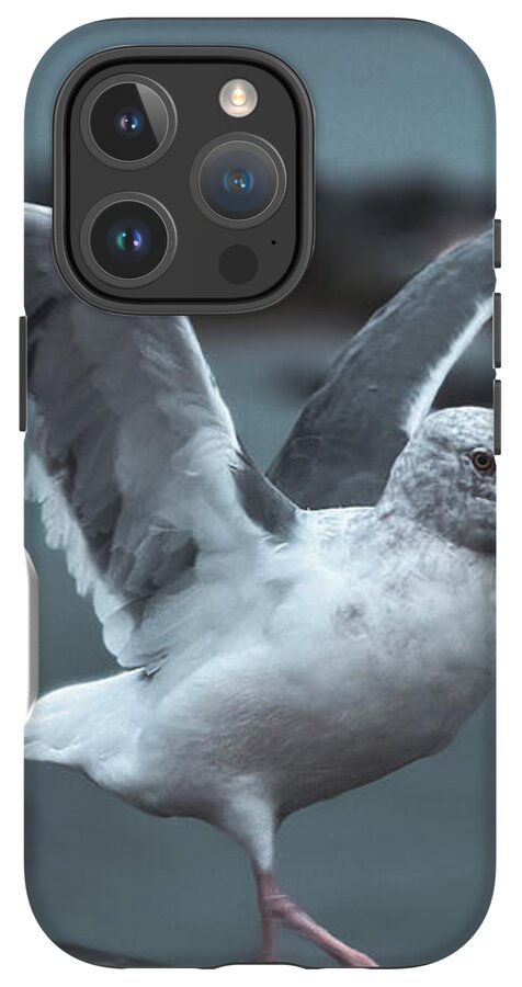 Seagull on a Seaside Rail - Phone Case