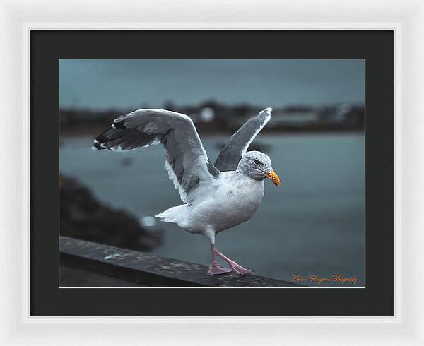 Seagull on a Seaside Rail - Framed Print