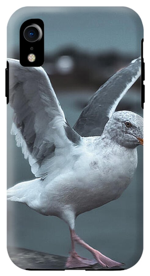 Seagull on a Seaside Rail - Phone Case