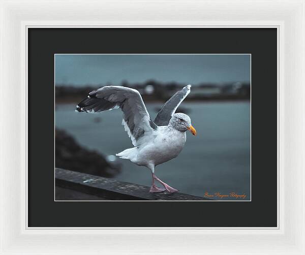Seagull on a Seaside Rail - Framed Print